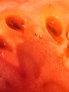Sérum Antioxydant